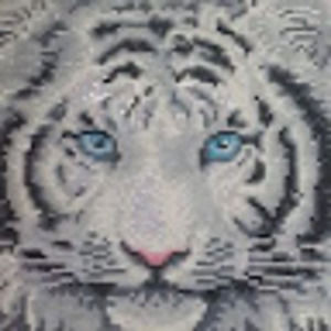 Meet your Posher, Dawn